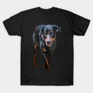 rottweiler T-Shirt